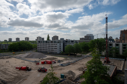 Rootz Haarlem: stevig geworteld in de toekomst!